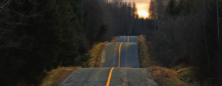 hilly road advancing into the distance surrounded by forest