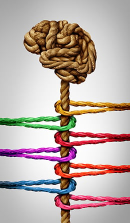 brain and spinal cord, also made of rope being pulled but not moved by 7 colored ropes