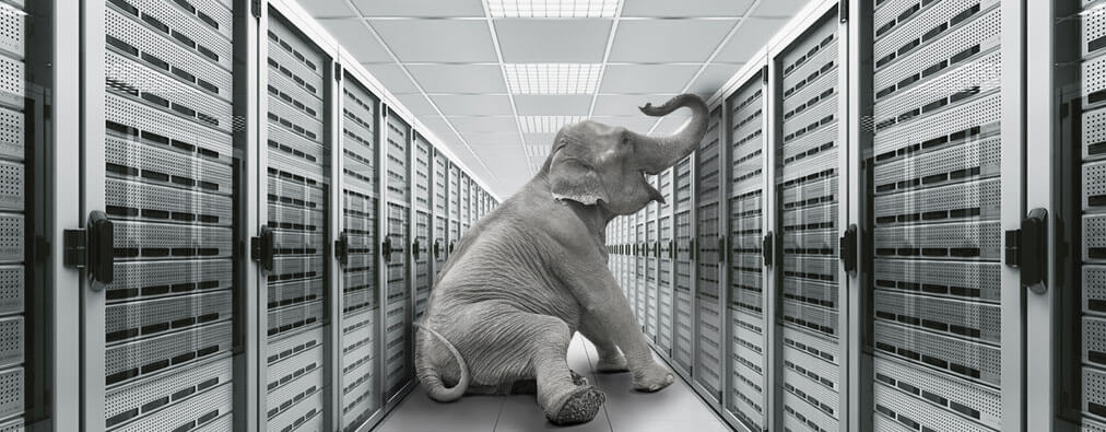 An elephant sits within a group of servers in a data center