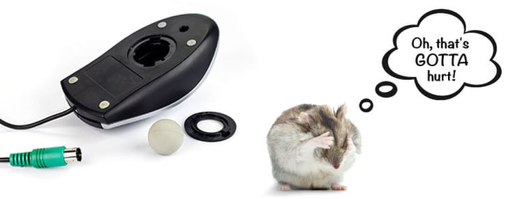 image of computer mouse with mouse ball removed for cleaning, animal mouse looks away, thinking Oh, that's gotta hurt!