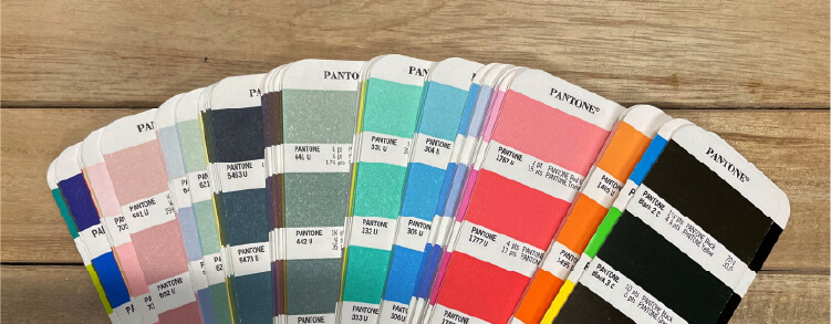 a selection of Pantone color samples