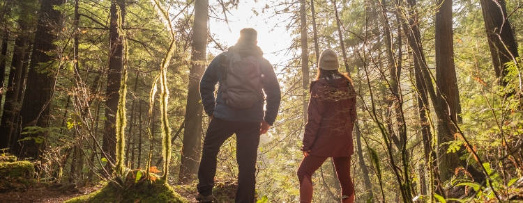 two hikers in the forest, the sunrise shines through the trees