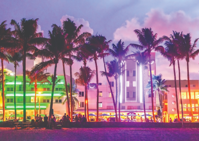 Miami night scene from the beach