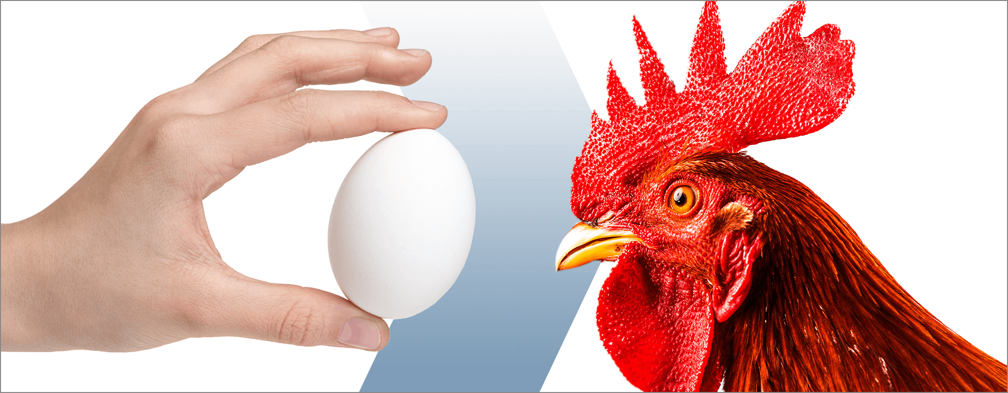 Chicken or egg? Copy or design?